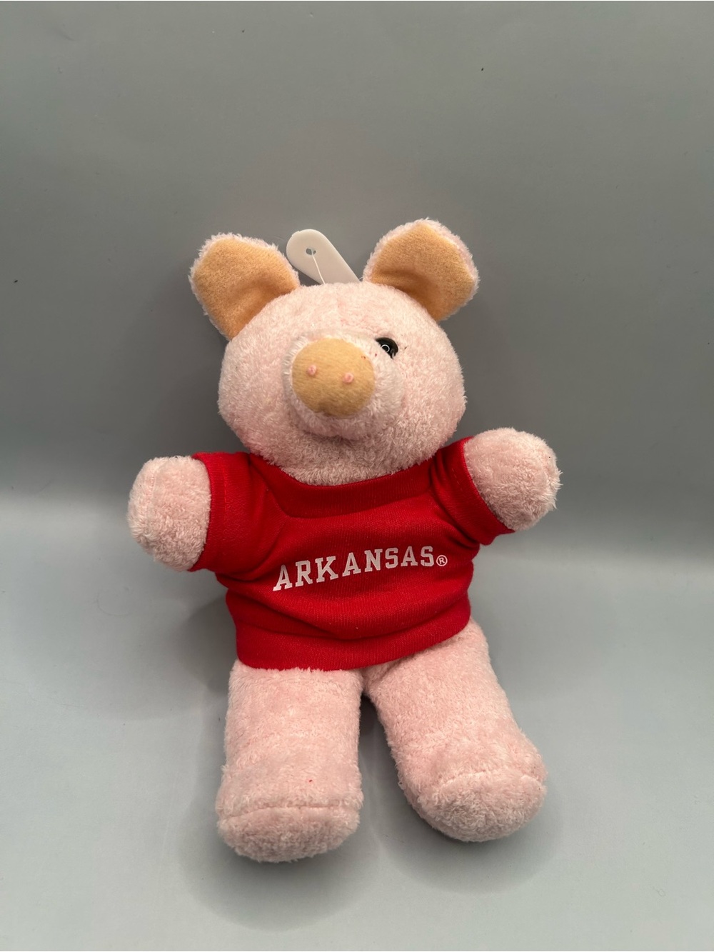 University of Arkansas Razorbacks Pink Pig plush toy red shirt
